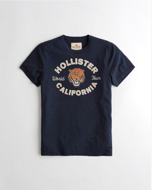 Hollister Men's T-shirts 186